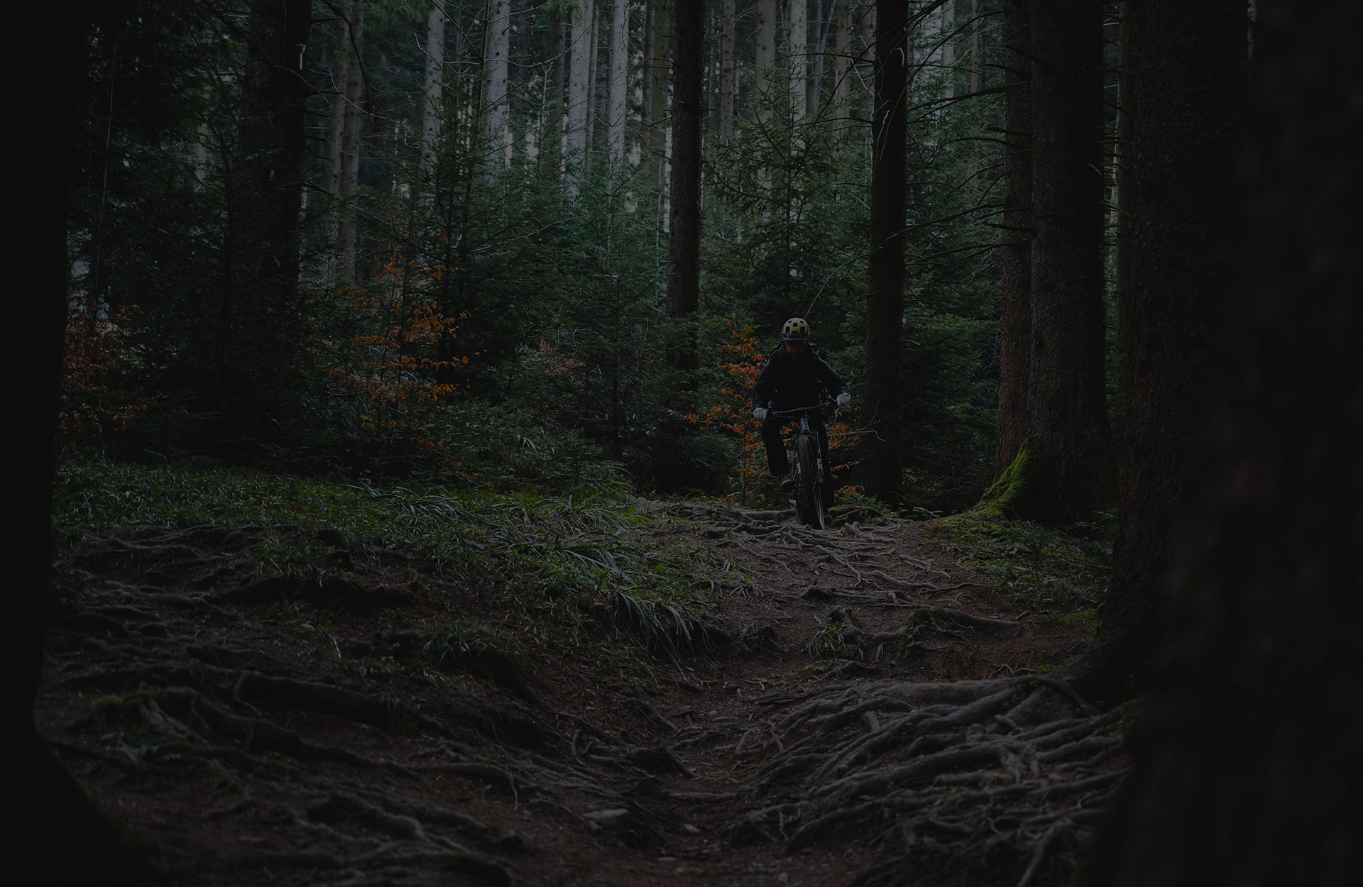 parallax background